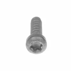Bosch Schraube Torx, Untere Halteschale Rahmenakku 2011/2012/Classic+